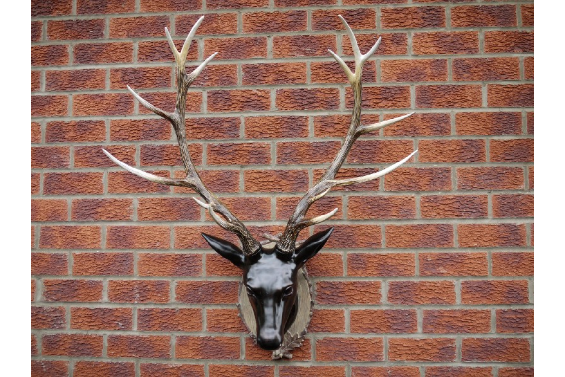 Extra Large Stag Head Wall Decoration