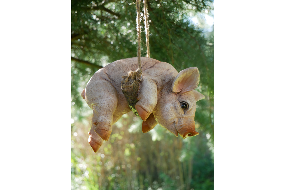 Hanging Piglet