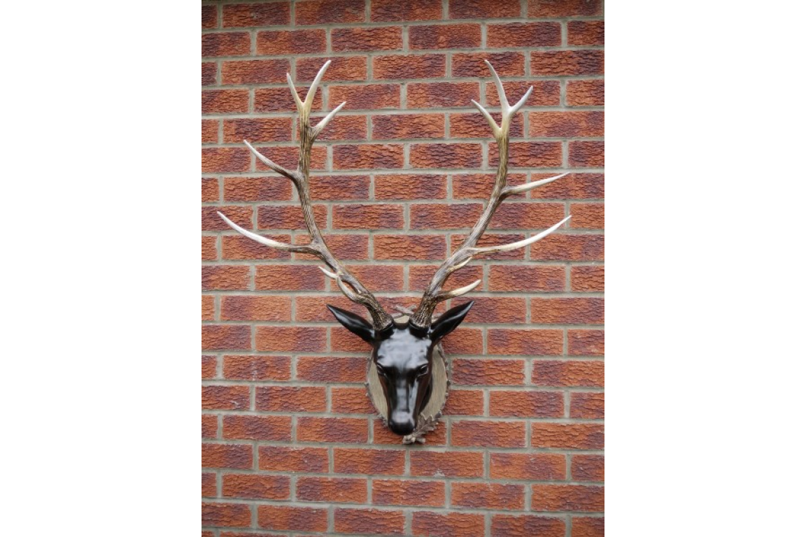 Extra Large Stag Head Wall Decoration - Image 7 of 7