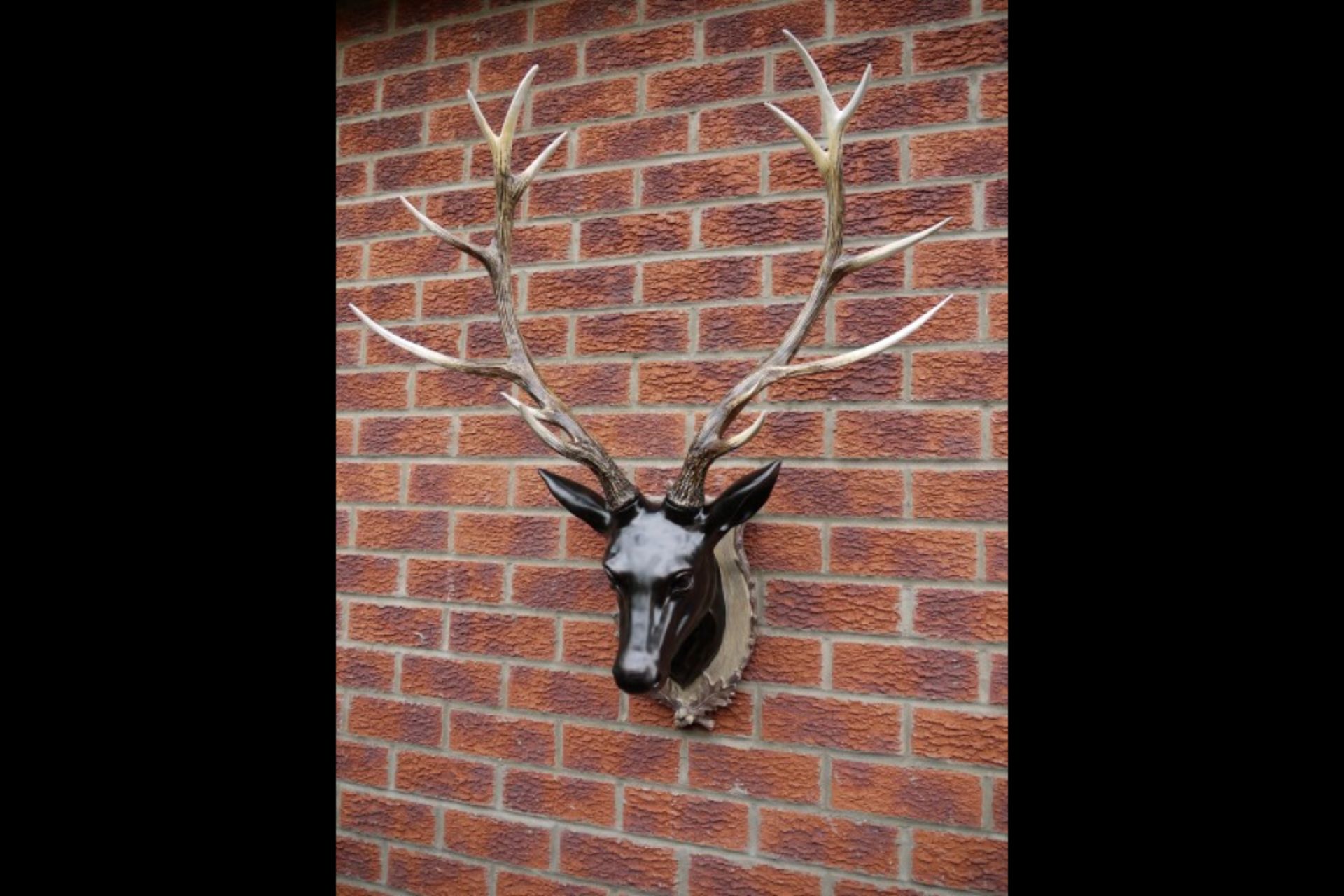 Extra Large Stag Head Wall Decoration - Image 6 of 7