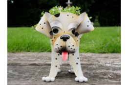 Dalmatian Planter