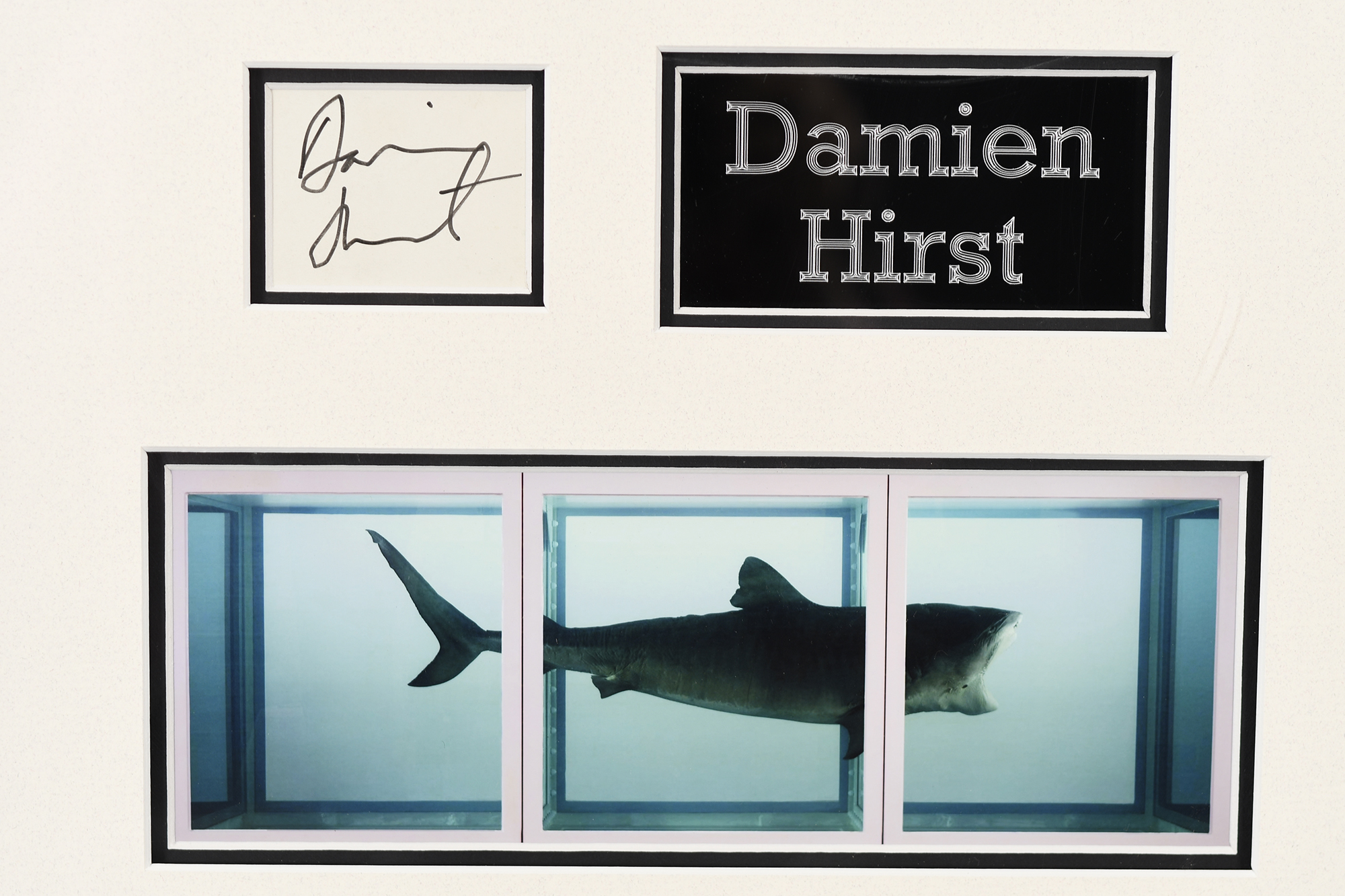 Damien Hirst original signature - Image 8 of 8