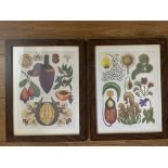 Stunning Pair Botanical Framed Prints