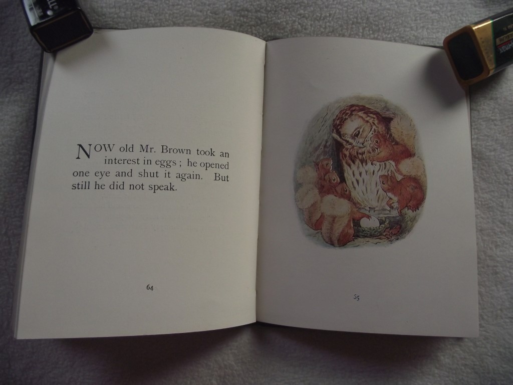 The Tale of Squirrel Nutkin by Beatrix Potter - Frederick Warne and Co. - Ca. 1904 - Image 13 of 27