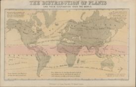 Rare James Reynolds Antique Distribution of World Plants.