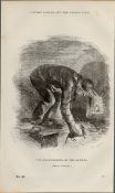 London Victorian Sewers Rat Catcher Rare 1864 Henry Mayhew Print.