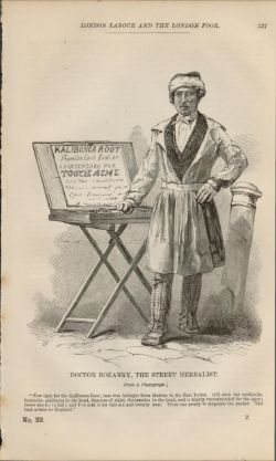 London Street Herbalist Rare Victorian 1864 Henry Mayhew Print.