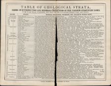 James Reynolds Victorian Geology Table of Geological Strata.