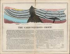 James Reynolds Antique Geology The Carboniferous Group Print.