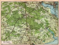 New Forest Hampshire Coloured Detailed Vintage 1924 Map.