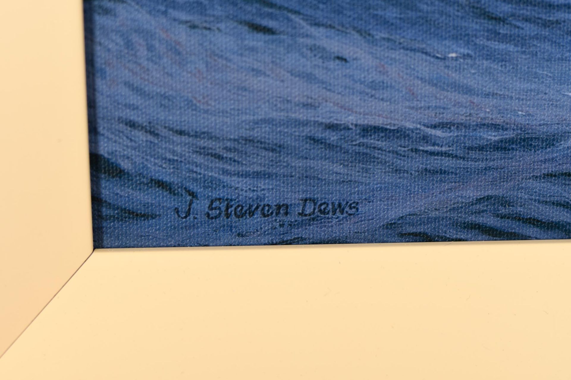 Steven Dews Rare Limited Edition on Canvas (one of only 35 worldwide) - Image 11 of 11