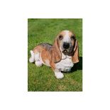 Large Basset Hound Home/Garden Ornament