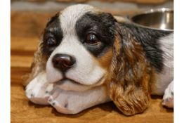 Spaniel Dog Bowl x4