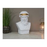 Ancient Greek Themed Male Bust