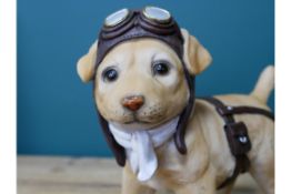 Pilot Puppy Labrador