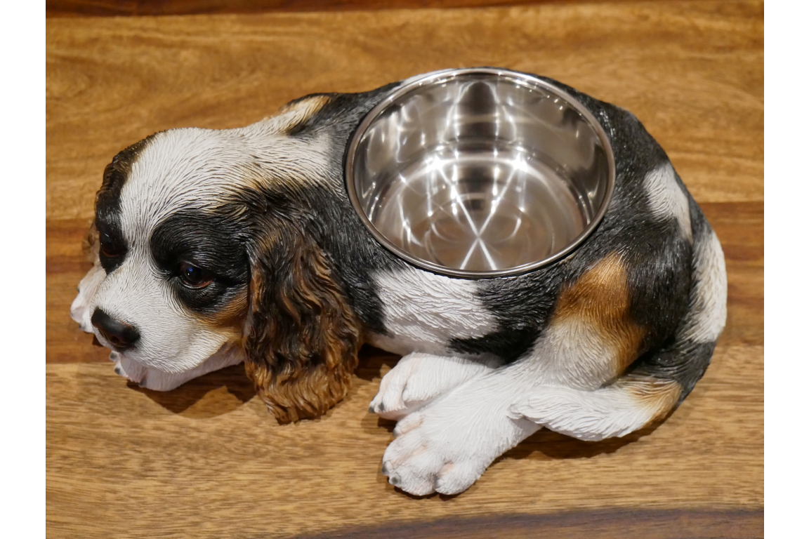 Spaniel Dog Bowl x24 - Image 4 of 4