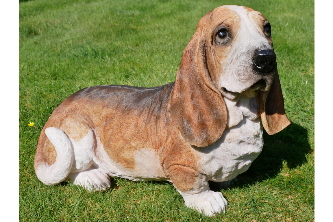 Large Basset Hound Home/Garden Ornament - Image 3 of 7