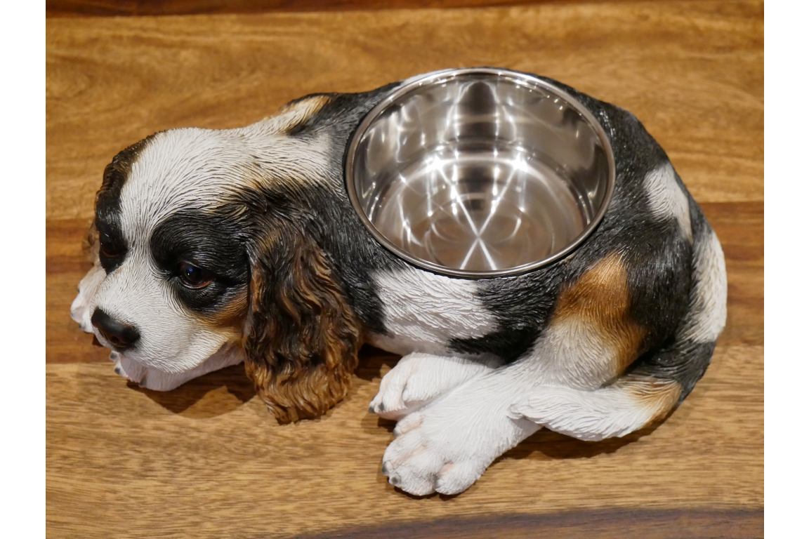 Spaniel Dog Bowl x4 - Image 3 of 5