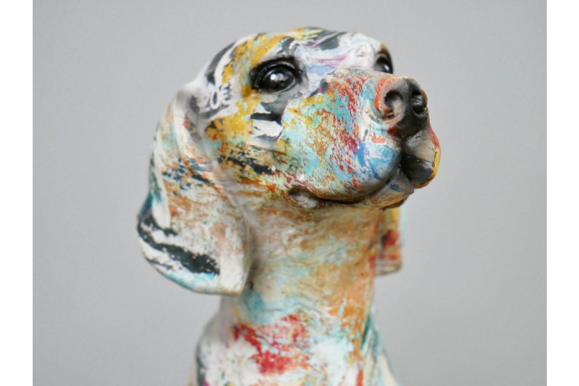 Puppy With A Touch of Colour - Image 6 of 6
