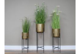 Set of 3 Golden Planters With Holders