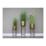 Set of 3 Golden Planters With Holders