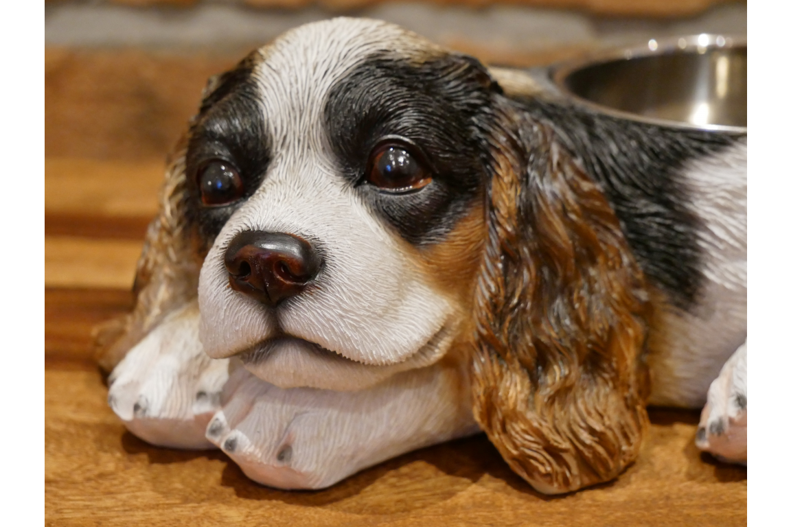 Spaniel Dog Bowl x24