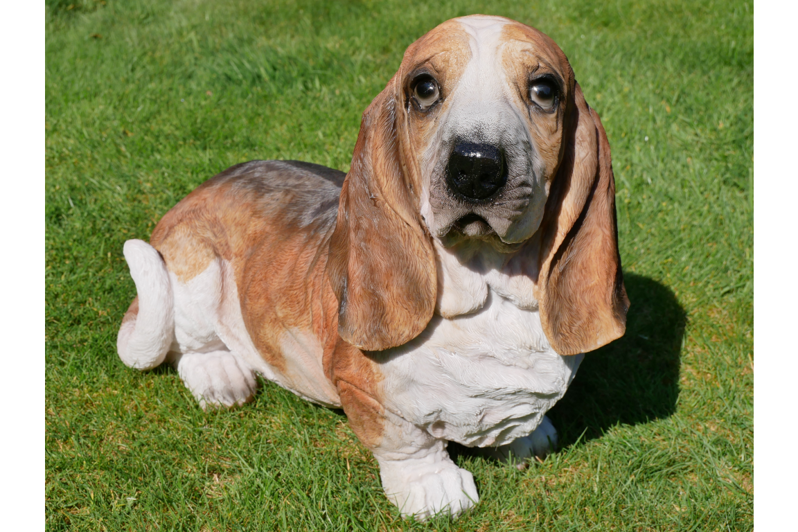 Large Basset Hound Home/Garden Ornament - Image 4 of 7