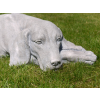 Sleeping Dog - Image 3 of 5