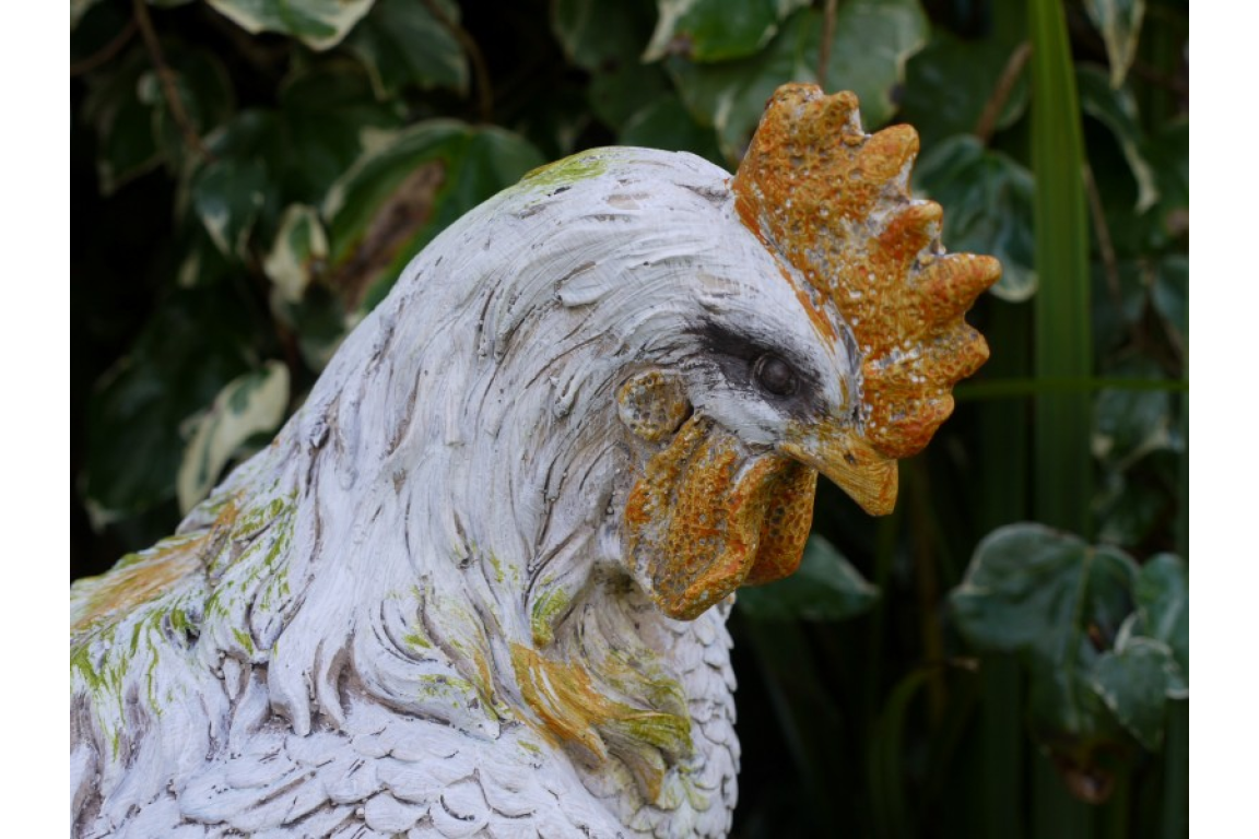 2x Large Cockerel - Image 3 of 5