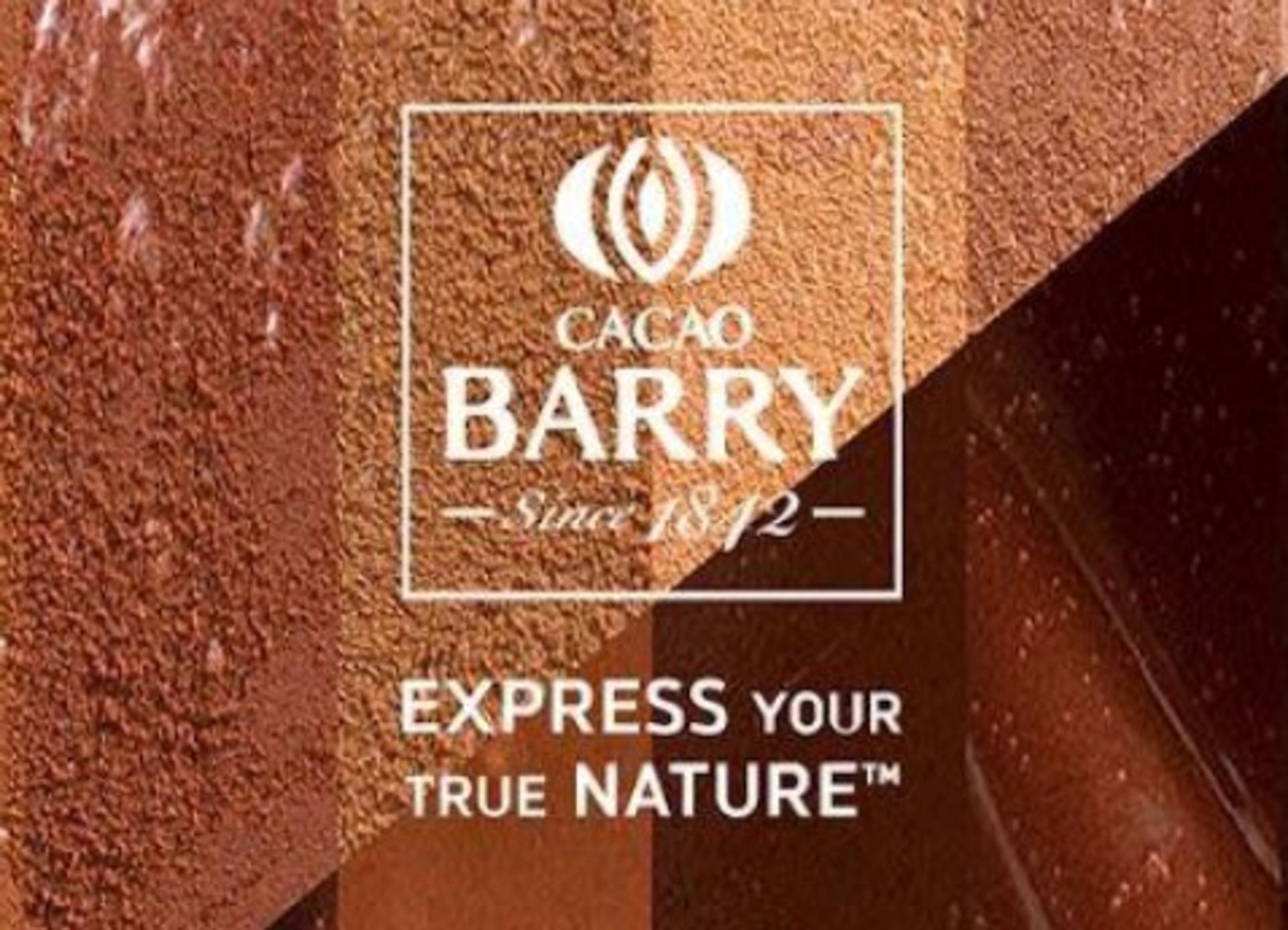 RRP £4,896. 450KG of Barry Callebaut Cocoa Powder. D102C. In 25KG, Fully Sealed and Professionall...