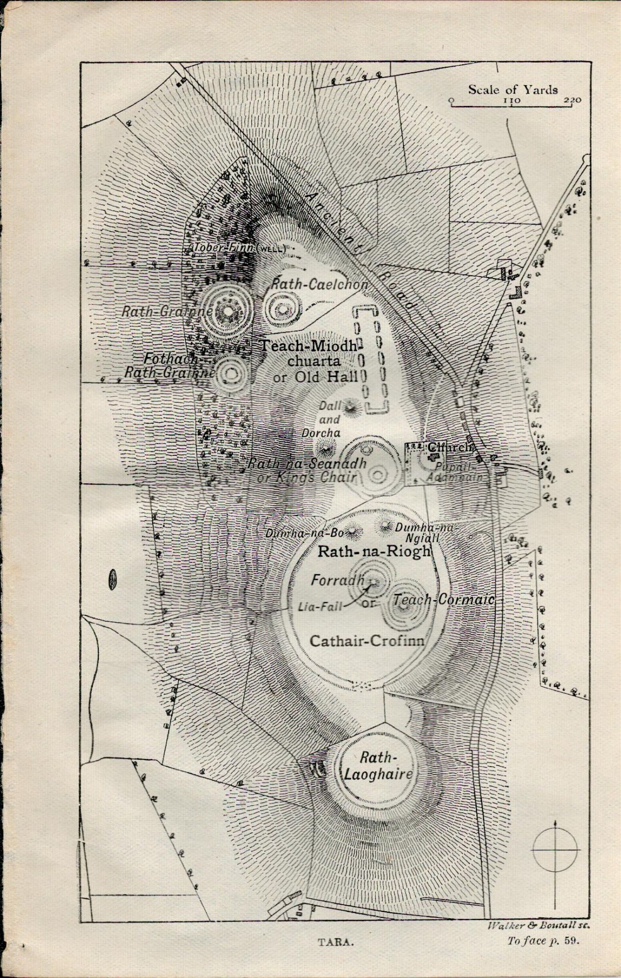 Hill of Tara Rath-Laoghaire Detailed Plan Antique Map