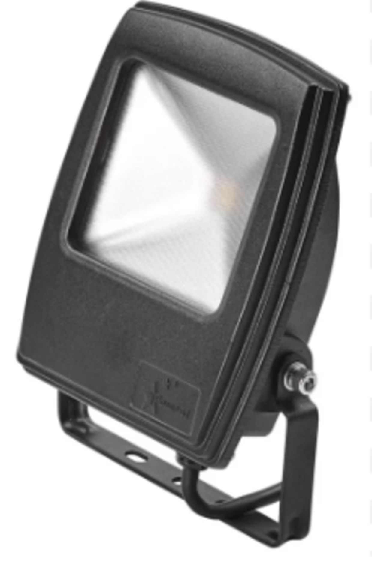 Powerled Flex Led Floodlight, 1 LED, 10W, IP65