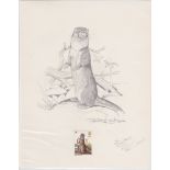 G.B. - Queen Elizabeth II 1977 British Wildlife Issue Pencil Drawing of A Otter With Background