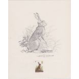 G.B. - Queen Elizabeth II 1977 British Wildlife Issue Pencil Drawing of A Hare With Background