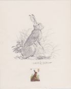 G.B. - Queen Elizabeth II 1977 British Wildlife Issue Pencil Drawing of A Hare With Background