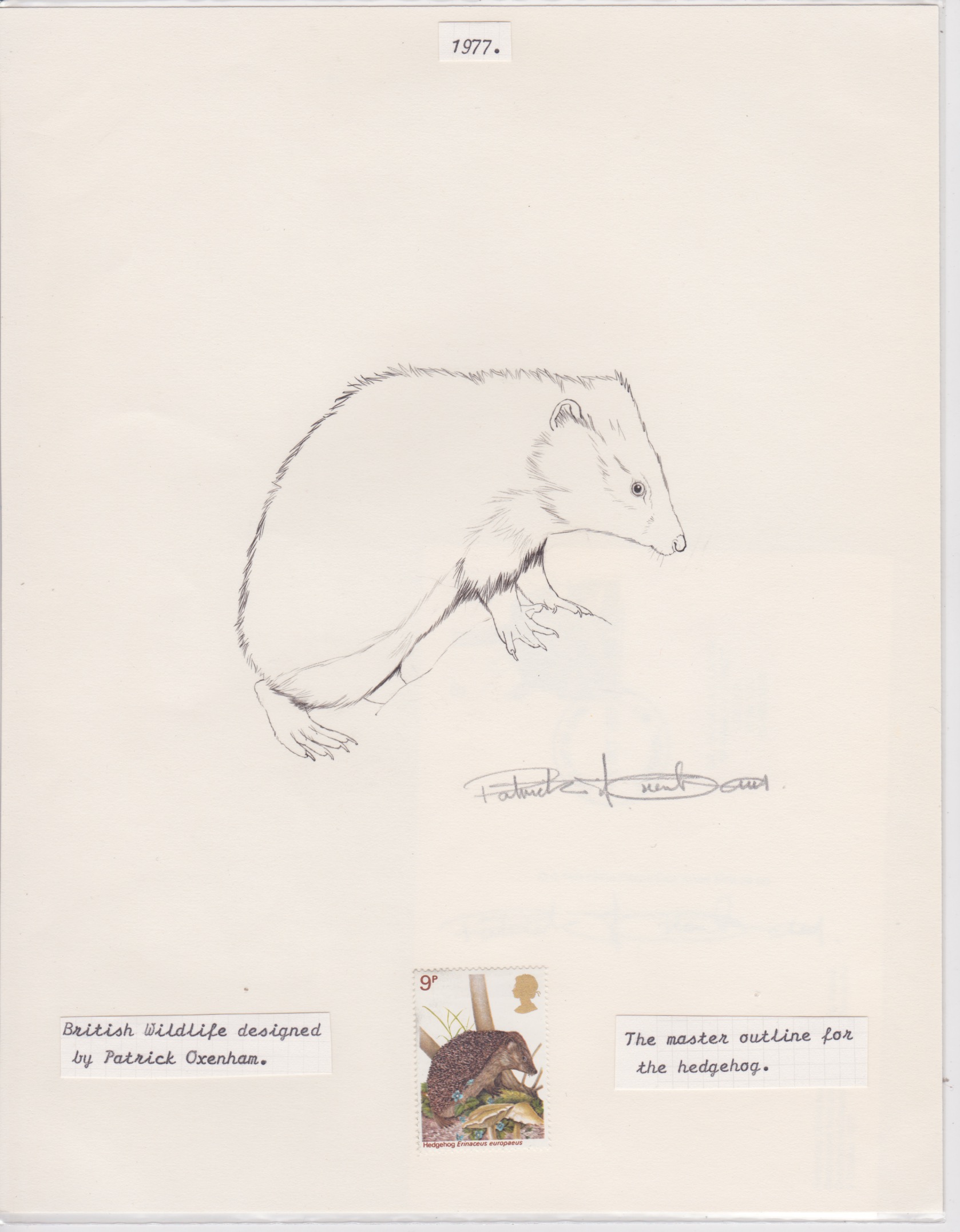 G.B. - Queen Elizabeth II 1977 British Wildlife Issue Pencil Drawing of A Hedgehog On Paper, Dra...