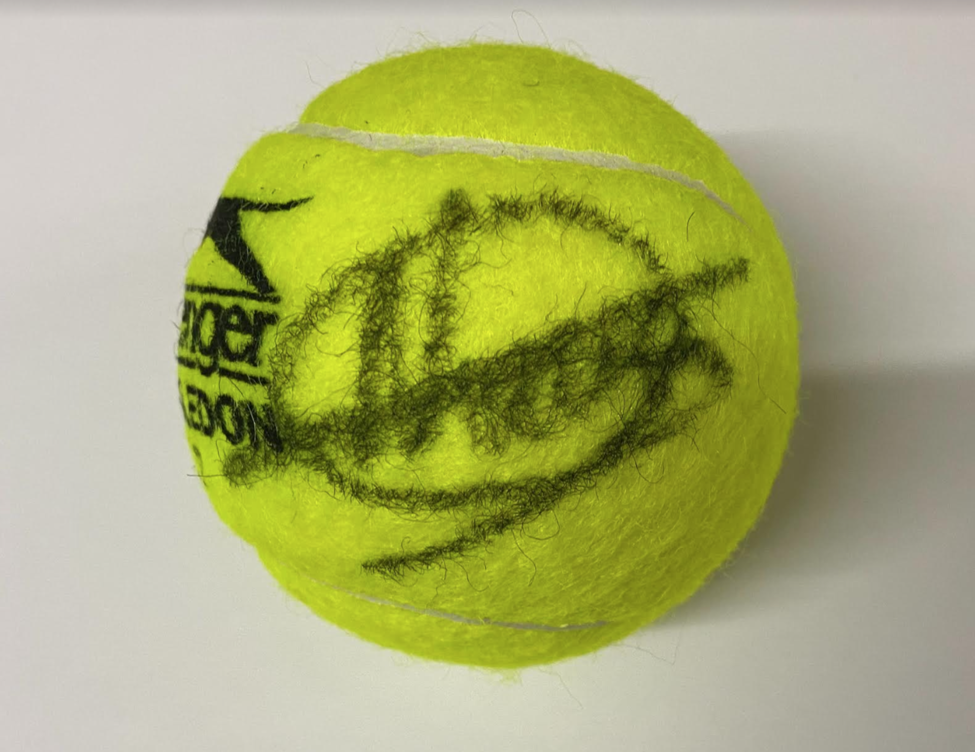 Novak Djokovic Signed Tennis Ball - Image 2 of 3