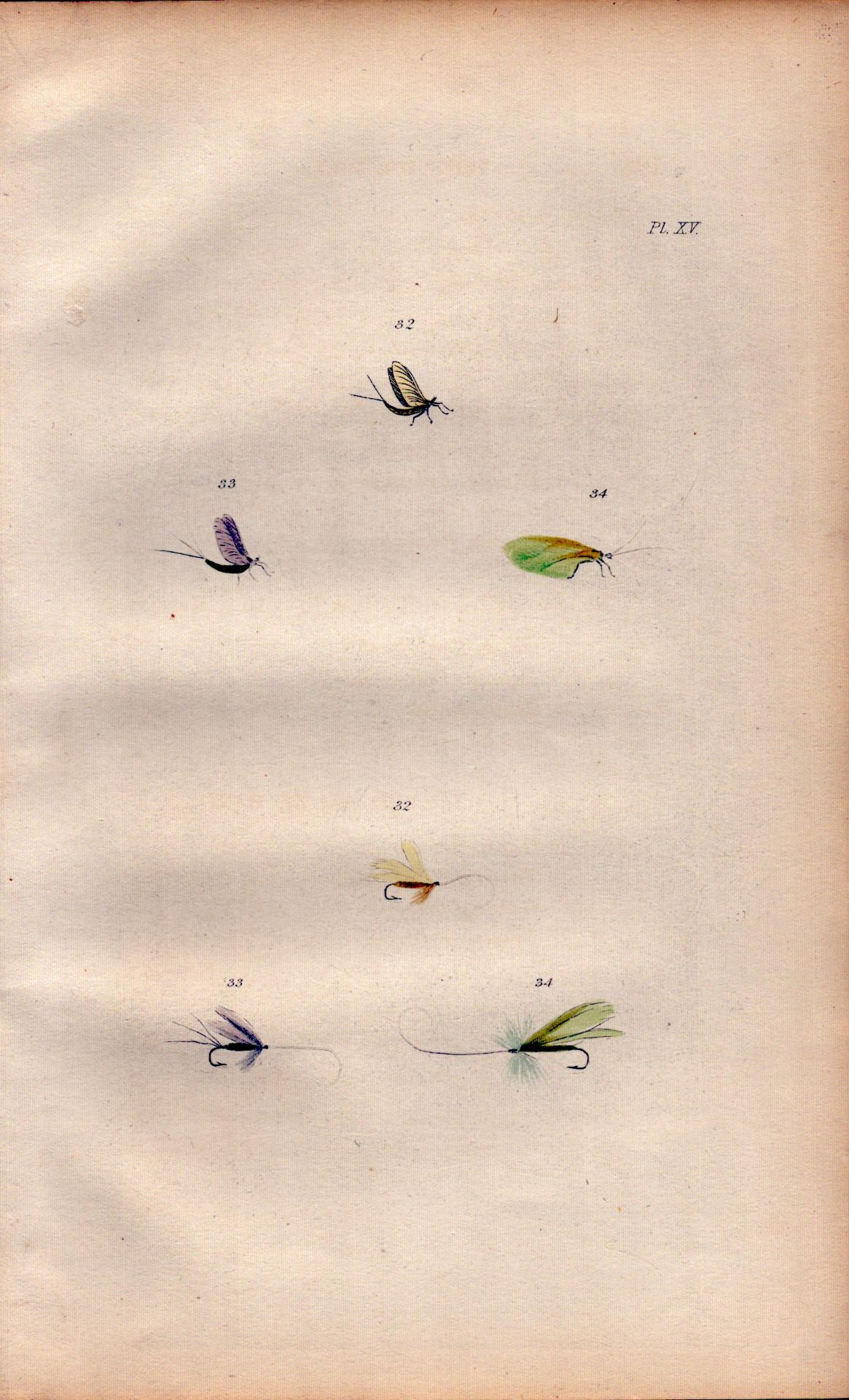 Fishing-Flies Selection Montage For July 1883 Victorian Colour Plate XV.