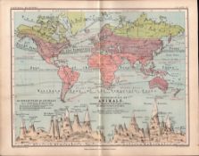 World Distribution of Animals 1871 WK Johnston Antique Chart Map.