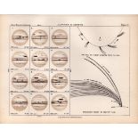 Jupiter & Comets Victorian Antique 1892 Atlas of Astronomy 10.