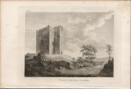Timon Castle Co Dublin Rare 1791 Francis Grose Antique Print.