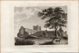 Dunbrody Abbey Co Wexford Rare 1791 Francis Grose Antique Print.