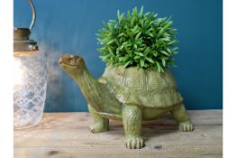 Tortoise Themed Planter