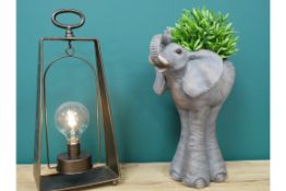 Large Elephant Footed Planter