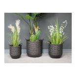 Set of 3 Indoor/Outdoor Planters