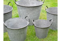 Set of 5 Metal Bucket Planters