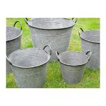 Set of 5 Metal Bucket Planters