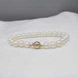 White Cultured Pearl Strung Bracelet With Yellow Gold Ball Clasp