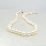 Freshwater Cultured Pearl Necklace With Yellow Gold Ball Clasp. Hand Strung and Knotted