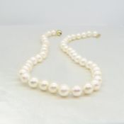 Freshwater Cultured Pearl Necklace With Yellow Gold Ball Clasp. Hand Strung and Knotted